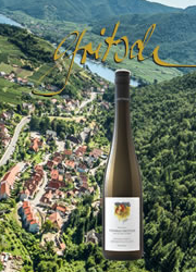 img_Weingut Gritsch